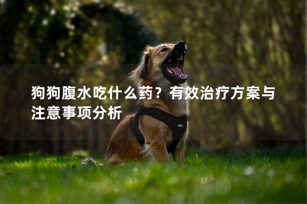 狗狗腹水吃什么藥?有效治療方案與注意事項分析 狗狗腹水吃什么藥?有效治療方案與注意事項分析