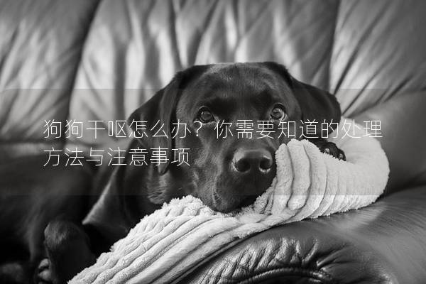 狗狗干嘔怎么辦？你需要知道的處理方法與注意事項