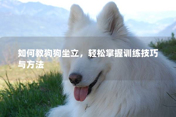 如何教狗狗坐立,輕松掌握訓(xùn)練技巧與方法 如何教狗狗坐立,輕松掌握訓(xùn)練技巧與方法