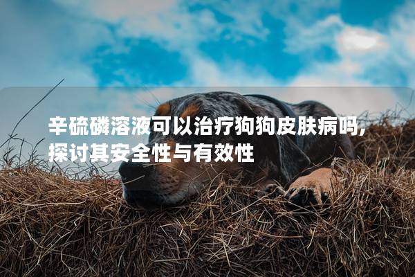 辛硫磷溶液可以治療狗狗皮膚病嗎,探討其安全性與有效性