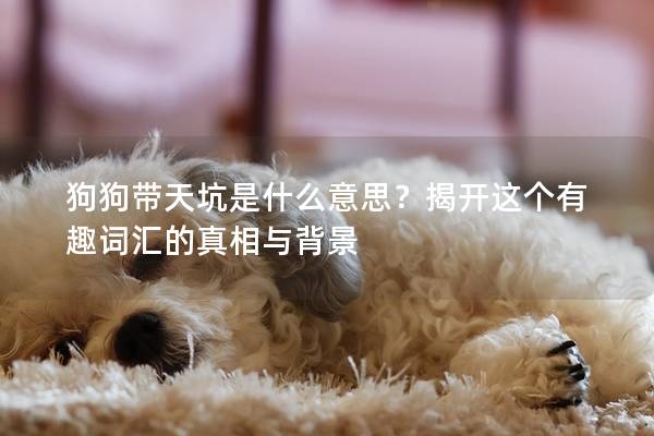 狗狗帶天坑是什么意思？揭開(kāi)這個(gè)有趣詞匯的真相與背景