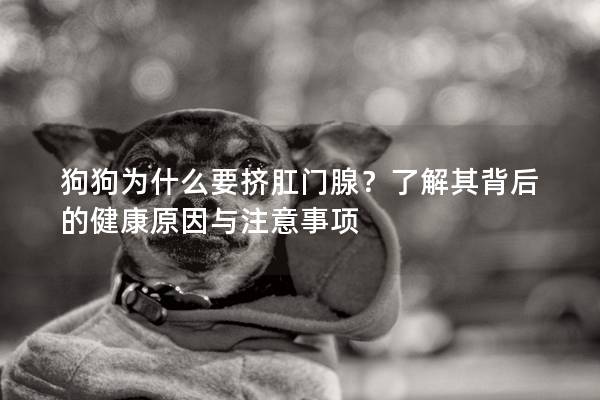 狗狗為什么要擠肛門腺？了解其背后的健康原因與注意事項