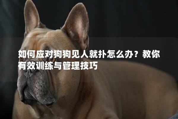 如何應對狗狗見人就撲怎么辦？教你有效訓練與管理技巧