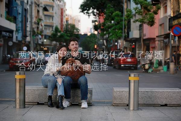 兩個月大的狗狗可以吃什么？了解適合幼犬的健康飲食選擇