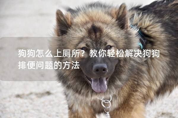 狗狗怎么上廁所?教你輕松解決狗狗排便問題的方法 狗狗怎么上廁所?教你輕松解決狗狗排便問題的方法
