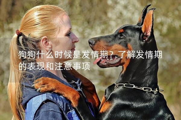 狗狗什么時候是發情期？了解發情期的表現和注意事項
