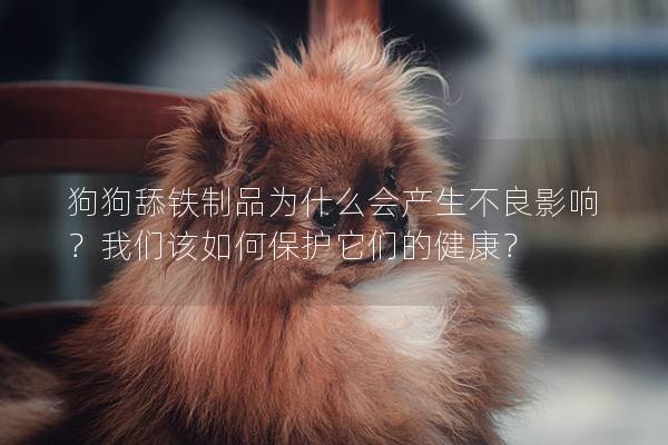 狗狗舔鐵制品為什么會(huì)產(chǎn)生不良影響？我們該如何保護(hù)它們的健康？
