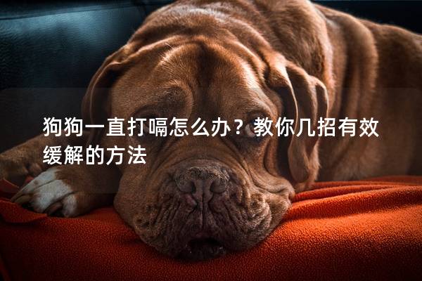 狗狗一直打嗝怎么辦？教你幾招有效緩解的方法
