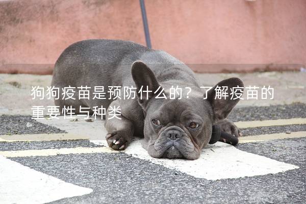 狗狗疫苗是預防什么的？了解疫苗的重要性與種類