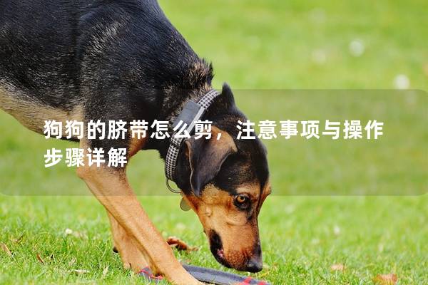 狗狗的臍帶怎么剪，注意事項(xiàng)與操作步驟詳解