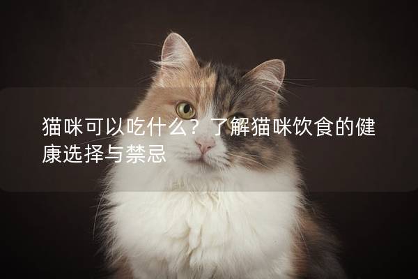 貓咪可以吃什么？了解貓咪飲食的健康選擇與禁忌