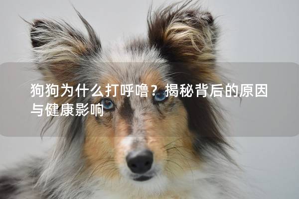 狗狗為什么打呼嚕？揭秘背后的原因與健康影響