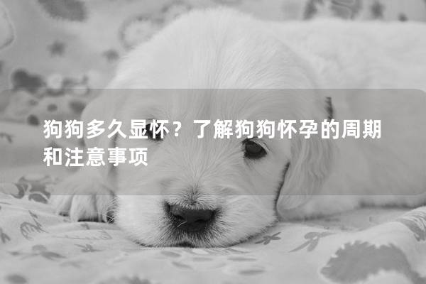 狗狗多久顯懷？了解狗狗懷孕的周期和注意事項
