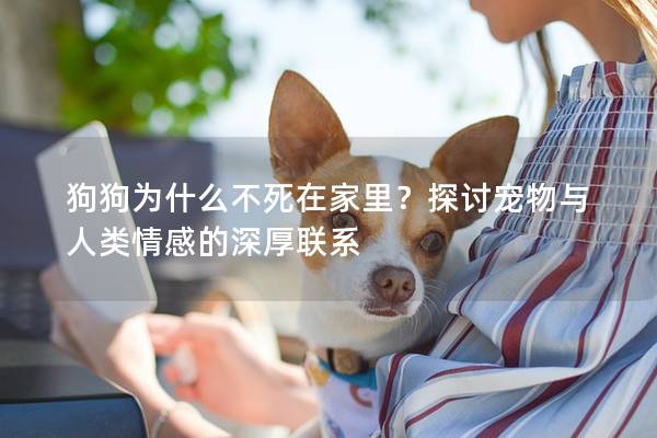 狗狗為什么不死在家里？探討寵物與人類情感的深厚聯(lián)系