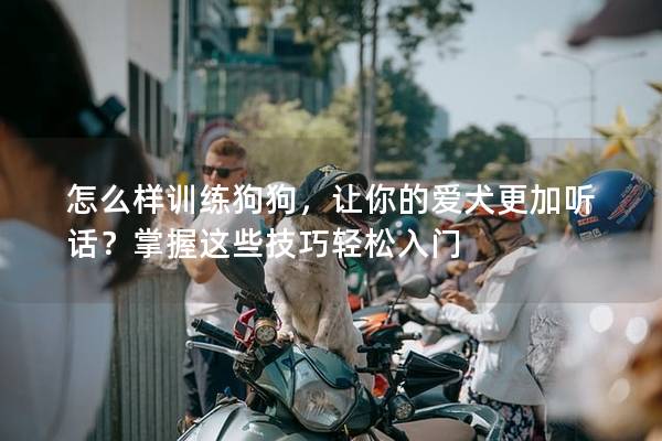怎么樣訓練狗狗,讓你的愛犬更加聽話?掌握這些技巧輕松入門 怎么樣訓練狗狗,讓你的愛犬更加聽話?掌握這些技巧輕松入門