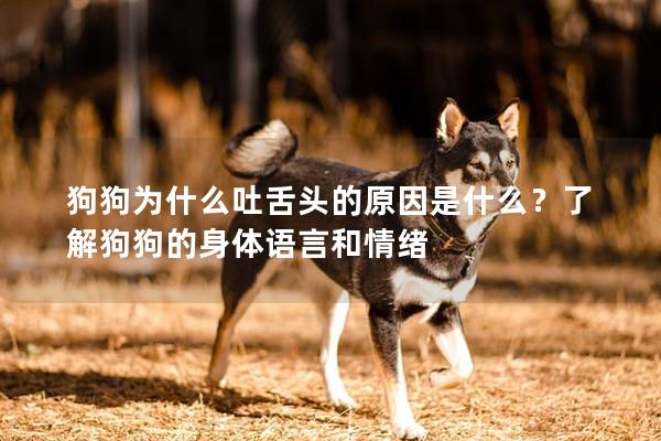 狗狗為什么吐舌頭的原因是什么？了解狗狗的身體語言和情緒
