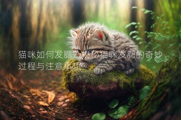 貓咪如何發腮？揭秘貓咪發腮的奇妙過程與注意事項