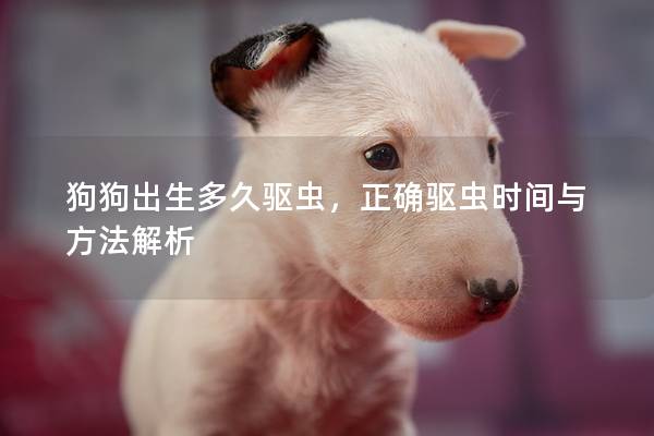 狗狗出生多久驅蟲，正確驅蟲時間與方法解析