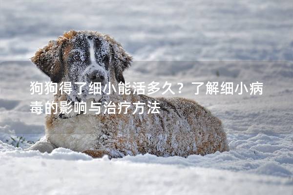 狗狗得了細小能活多久？了解細小病毒的影響與治療方法