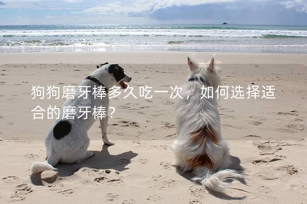 狗狗磨牙棒多久吃一次，如何選擇適合的磨牙棒？
