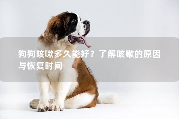 狗狗咳嗽多久能好？了解咳嗽的原因與恢復(fù)時間