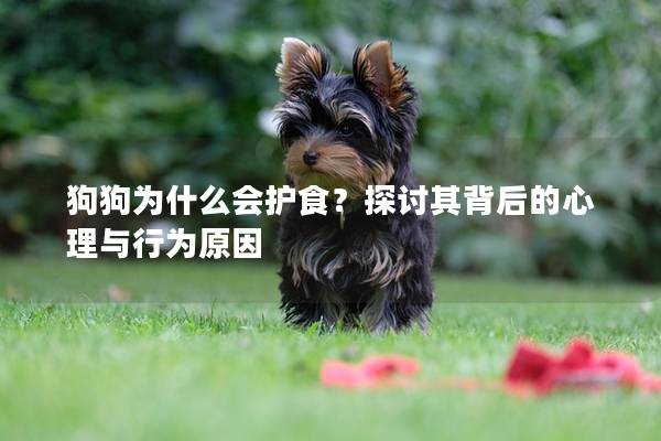 狗狗為什么會(huì)護(hù)食?探討其背后的心理與行為原因 狗狗為什么會(huì)護(hù)食?探討其背后的心理與行為原因