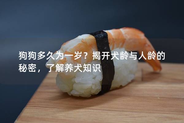 狗狗多久為一歲?揭開犬齡與人齡的秘密,了解養犬知識 狗狗多久為一歲?揭開犬齡與人齡的秘密,了解養犬知識