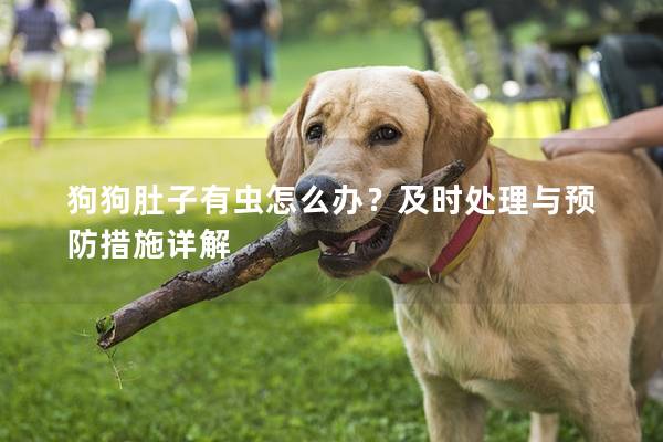 狗狗肚子有蟲怎么辦？及時處理與預防措施詳解