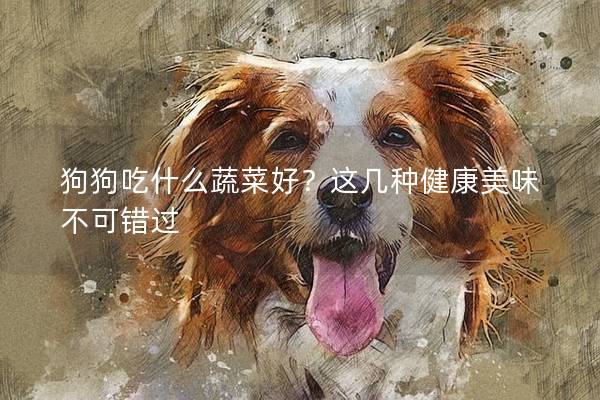 狗狗吃什么蔬菜好？這幾種健康美味不可錯過