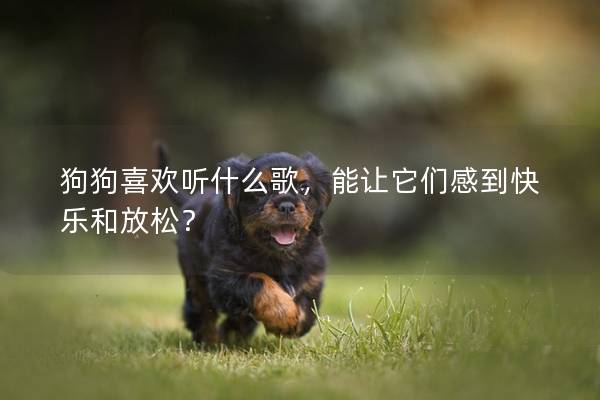 狗狗喜歡聽什么歌，能讓它們感到快樂和放松？
