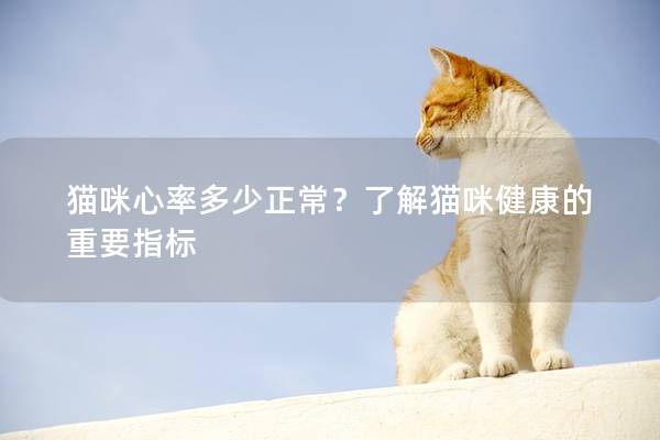 貓咪心率多少正常？了解貓咪健康的重要指標