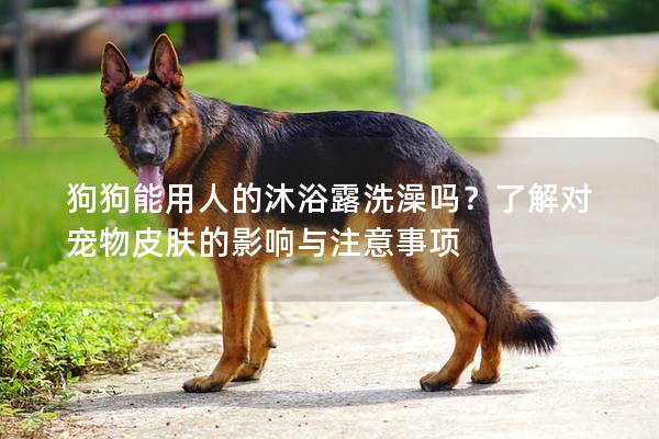 狗狗能用人的沐浴露洗澡嗎？了解對寵物皮膚的影響與注意事項