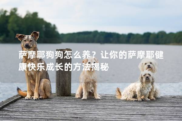 薩摩耶狗狗怎么養？讓你的薩摩耶健康快樂成長的方法揭秘