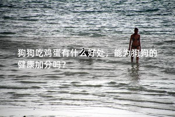 狗狗吃雞蛋有什么好處，能為狗狗的健康加分嗎？