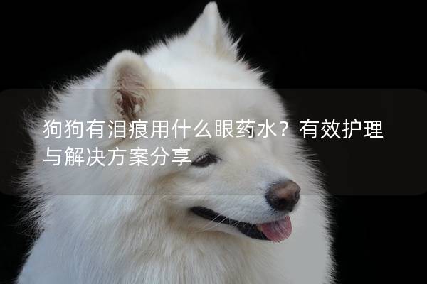 狗狗有淚痕用什么眼藥水？有效護理與解決方案分享