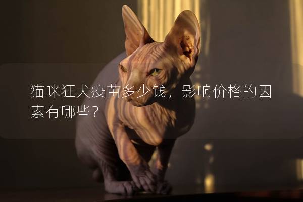 貓咪狂犬疫苗多少錢，影響價(jià)格的因素有哪些？