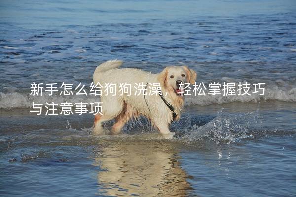 新手怎么給狗狗洗澡,輕松掌握技巧與注意事項 新手怎么給狗狗洗澡,輕松掌握技巧與注意事項