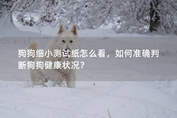狗狗細小測試紙怎么看，如何準確判斷狗狗健康狀況？