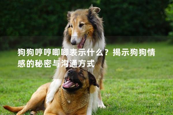 狗狗哼哼唧唧表示什么?揭示狗狗情感的秘密與溝通方式 狗狗哼哼唧唧表示什么?揭示狗狗情感的秘密與溝通方式