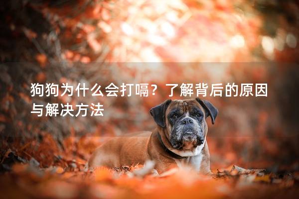 狗狗為什么會(huì)打嗝？了解背后的原因與解決方法