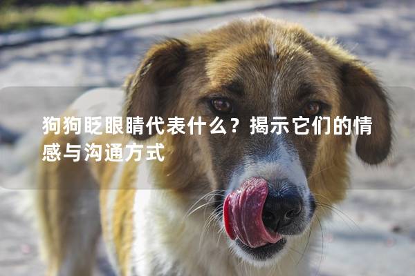 狗狗眨眼睛代表什么？揭示它們的情感與溝通方式