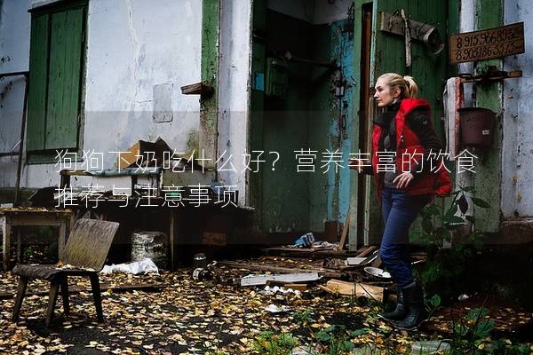狗狗下奶吃什么好？營養豐富的飲食推薦與注意事項
