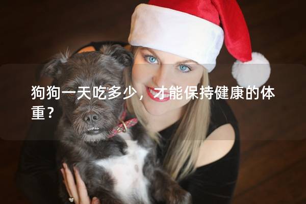 狗狗一天吃多少，才能保持健康的體重？