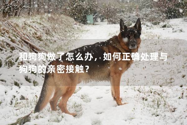 和狗狗做了怎么辦，如何正確處理與狗狗的親密接觸？
