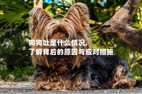 狗狗吐是什么情況, 了解背后的原因與應對措施