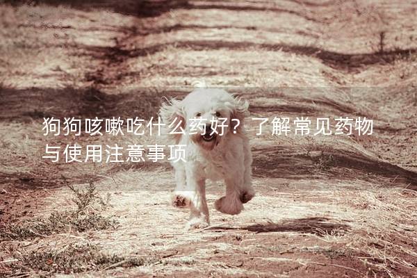 狗狗咳嗽吃什么藥好？了解常見藥物與使用注意事項