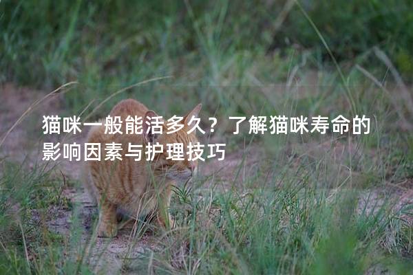 貓咪一般能活多久？了解貓咪壽命的影響因素與護理技巧