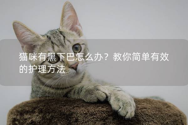 貓咪有黑下巴怎么辦？教你簡(jiǎn)單有效的護(hù)理方法