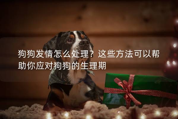 狗狗發情怎么處理？這些方法可以幫助你應對狗狗的生理期