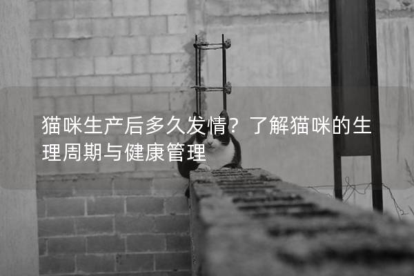 貓咪生產(chǎn)后多久發(fā)情？了解貓咪的生理周期與健康管理